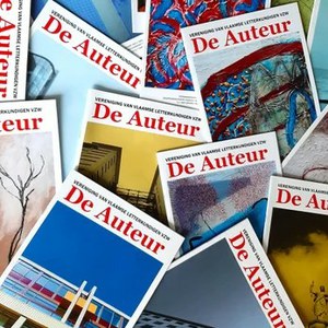 RECENSIE 'ZOMERSCHADUW' DOOR CEL VERMEULEN