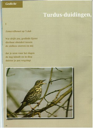 Turdus-duidingen (Part One)