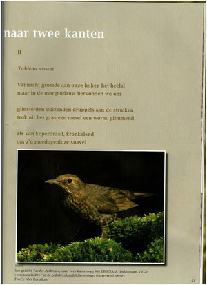 Turdus-duidingen (Part Two)